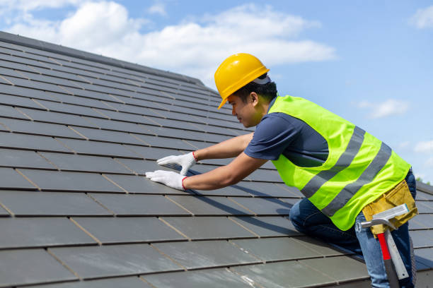 Best Local Roofing Companies  in Walcott, IA