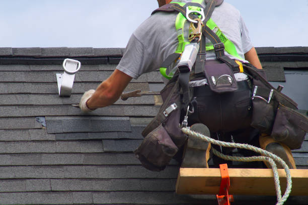 Best Best Roofing Contractors  in Walcott, IA
