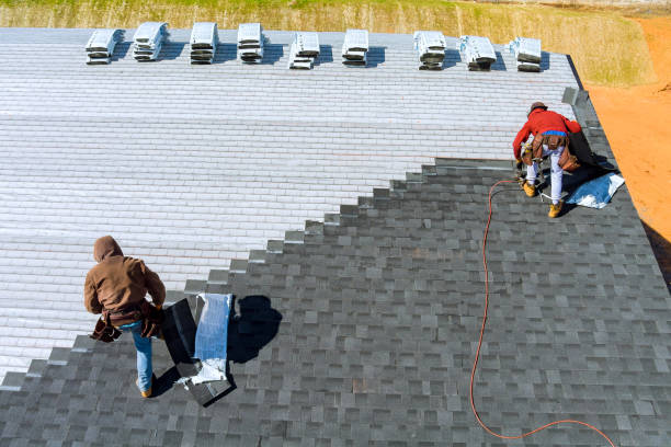 Best Metal Roofing Contractor  in Walcott, IA
