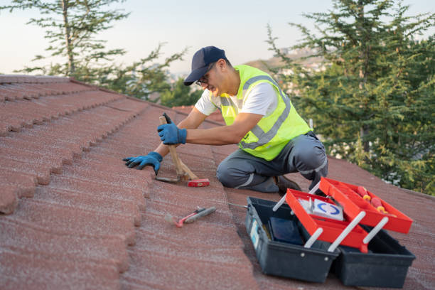 Best Roof Gutter Cleaning  in Walcott, IA