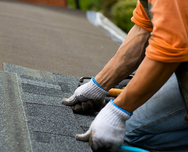 Best Roof Leak Repair  in Walcott, IA